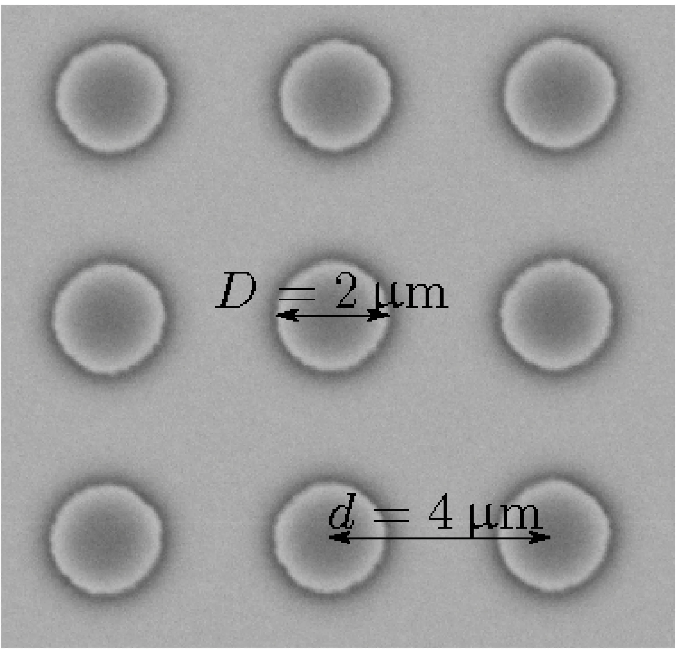 Scanning electron micrograph of a square array of round chromium rods, 2 µm across with a 4 µm period